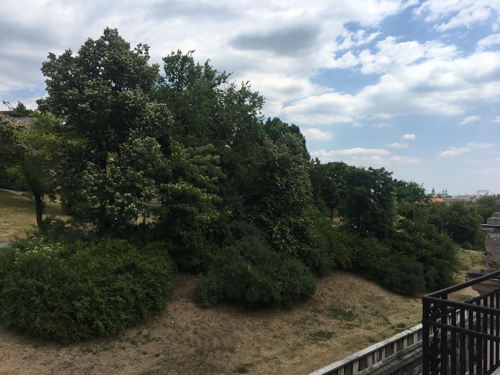 Castel View Apartment 부다페스트 외부 사진